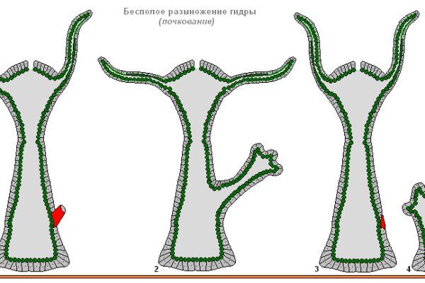 Запрещенный сайт кракен