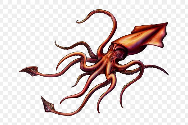 Kraken 12 att