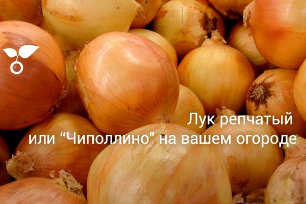 Замена hydra