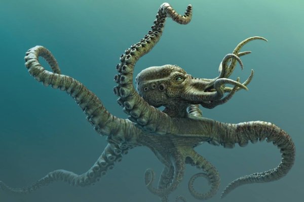Kraken21 at сайт